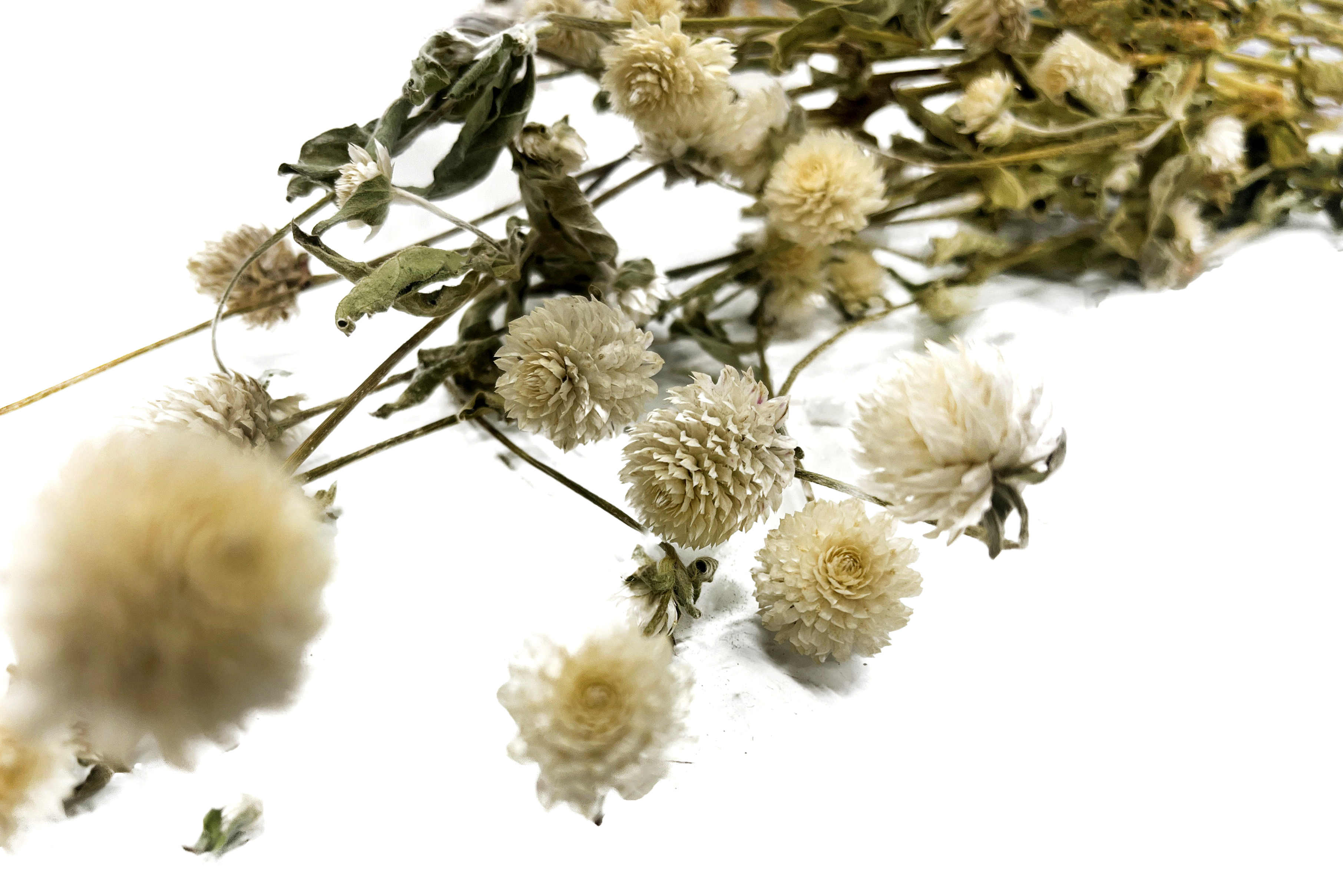 Glirex NatureBundle - Gömbamaránt (fehér)