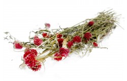 Glirex NatureBundle - Gömbamaránt (piros)