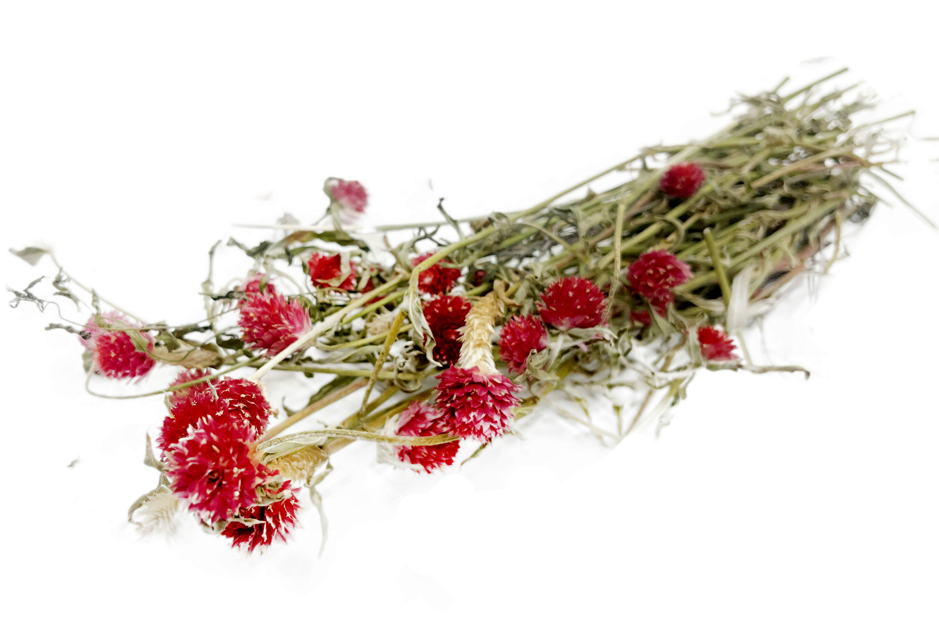 Glirex NatureBundle - Gömbamaránt (piros)