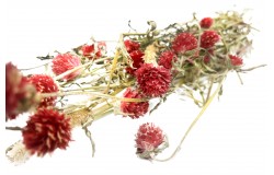 Glirex NatureBundle - Gömbamaránt (piros)