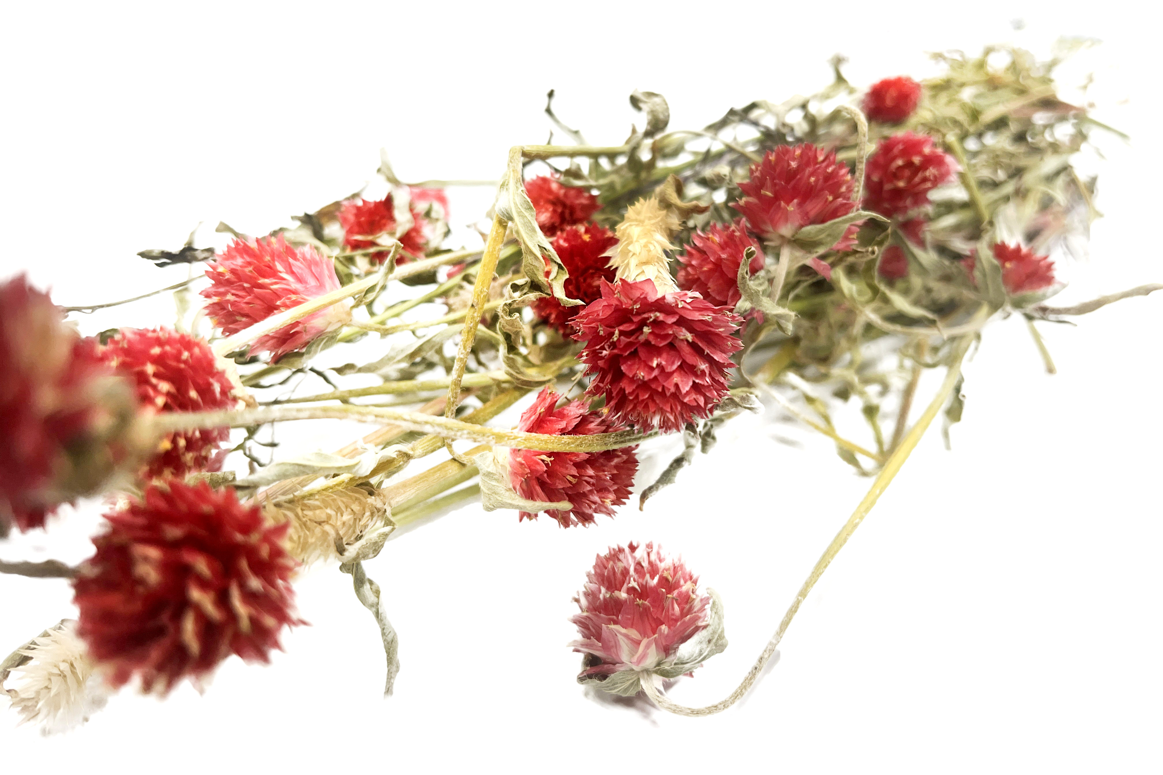 Glirex NatureBundle - Gömbamaránt (piros)