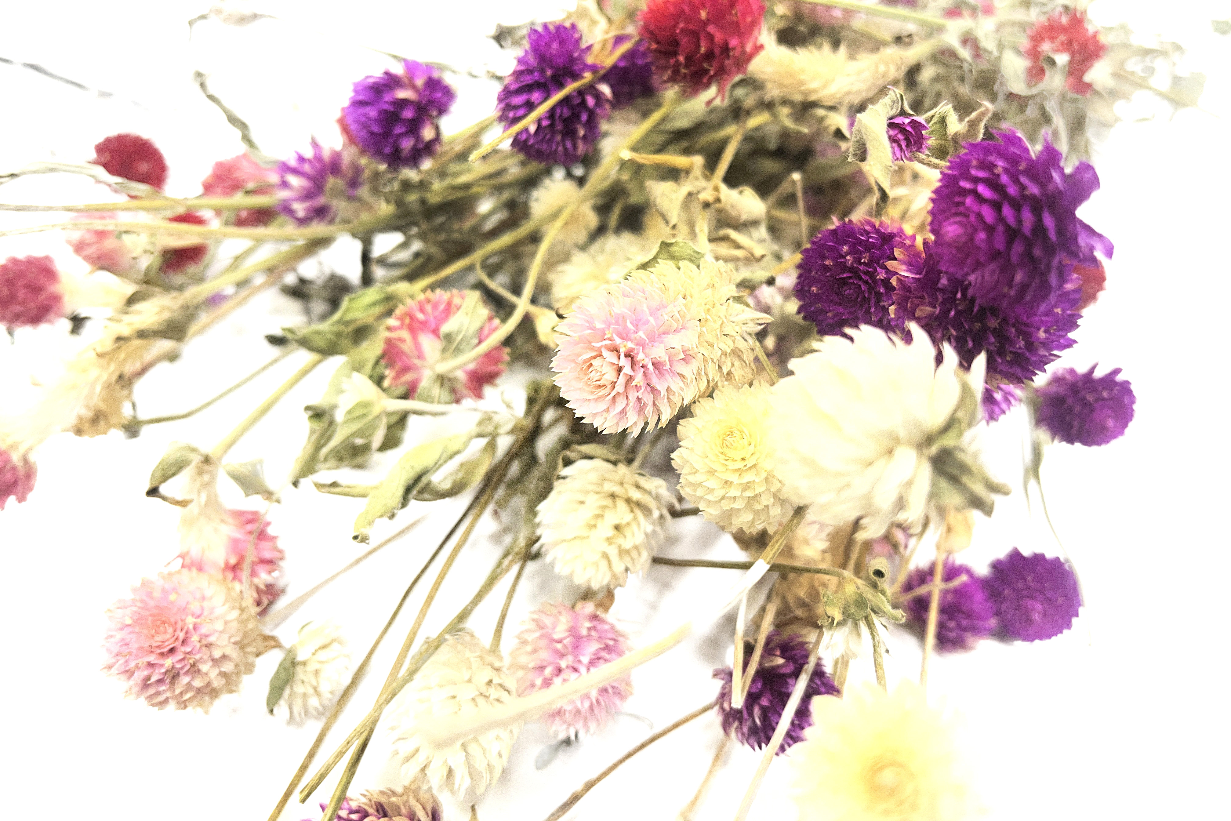 Glirex NatureBundle - Gömbamaránt (színes)