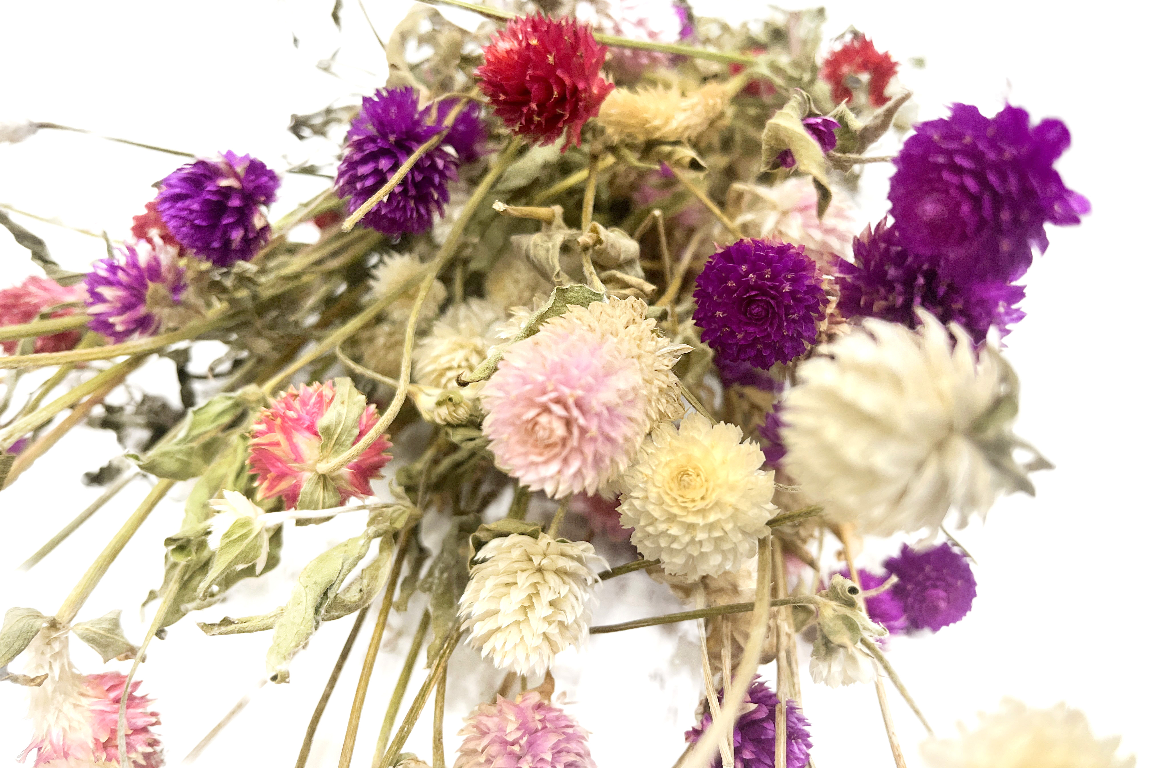 Glirex NatureBundle - Gömbamaránt (színes)