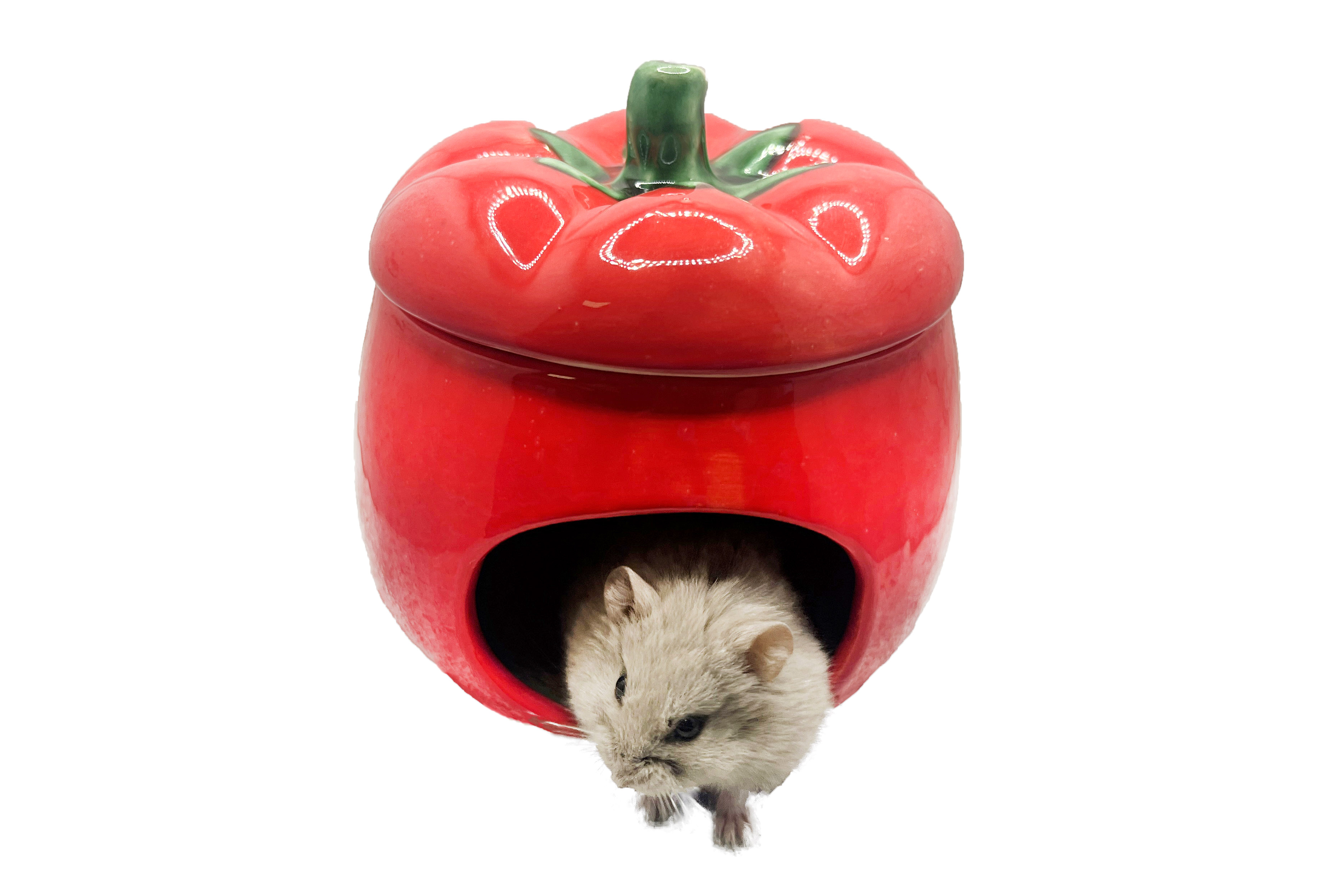 Glirex NatureSupplies - Kerámia paradicsom házikó