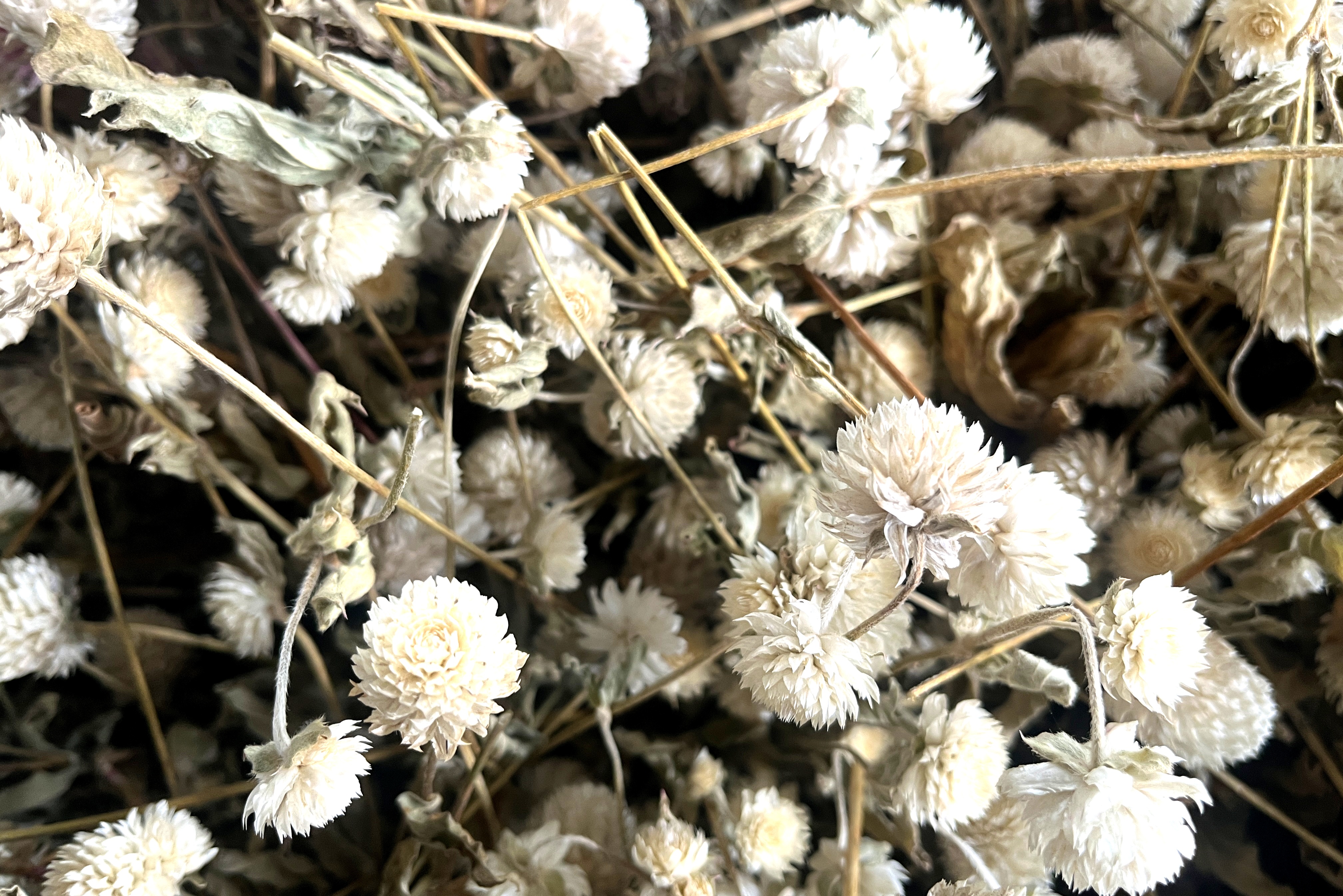 Glirex NatureBundle - Gömbamaránt (fehér)