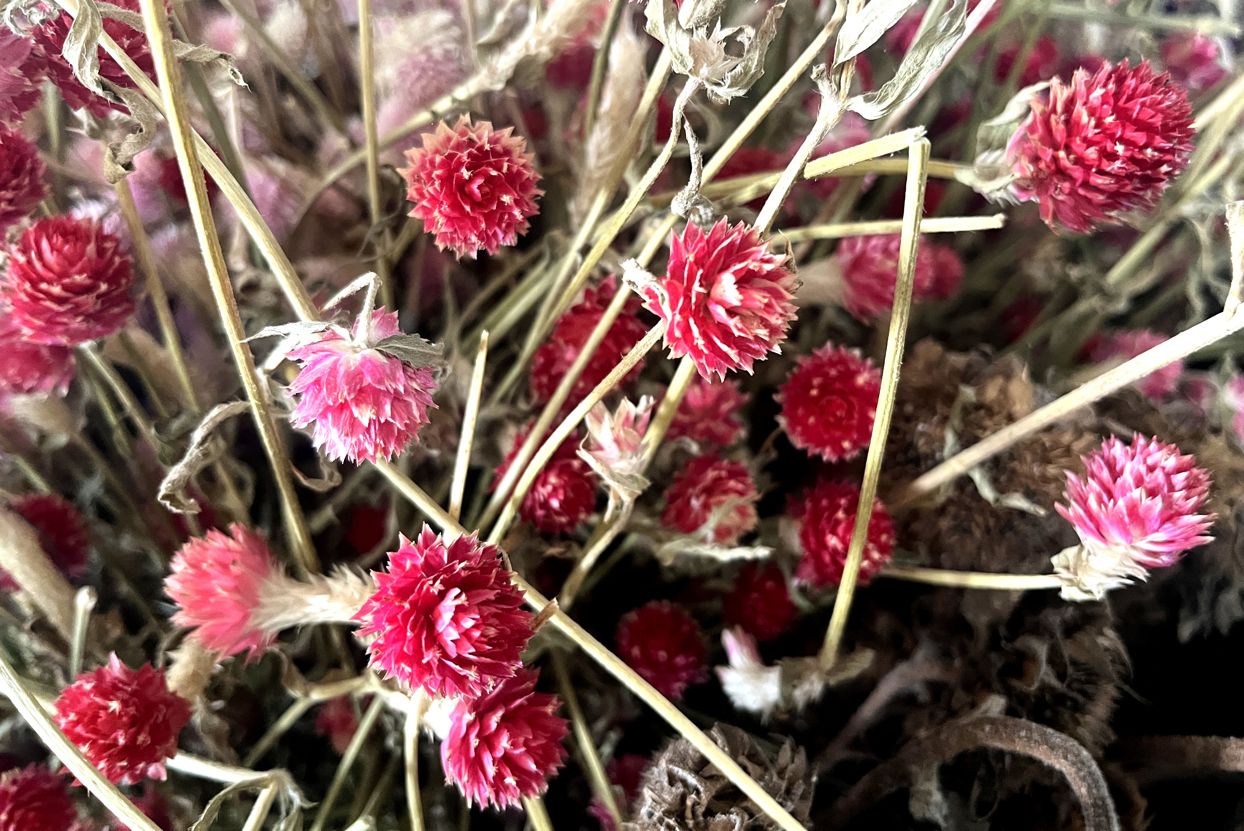 Glirex NatureBundle - Gömbamaránt (piros)