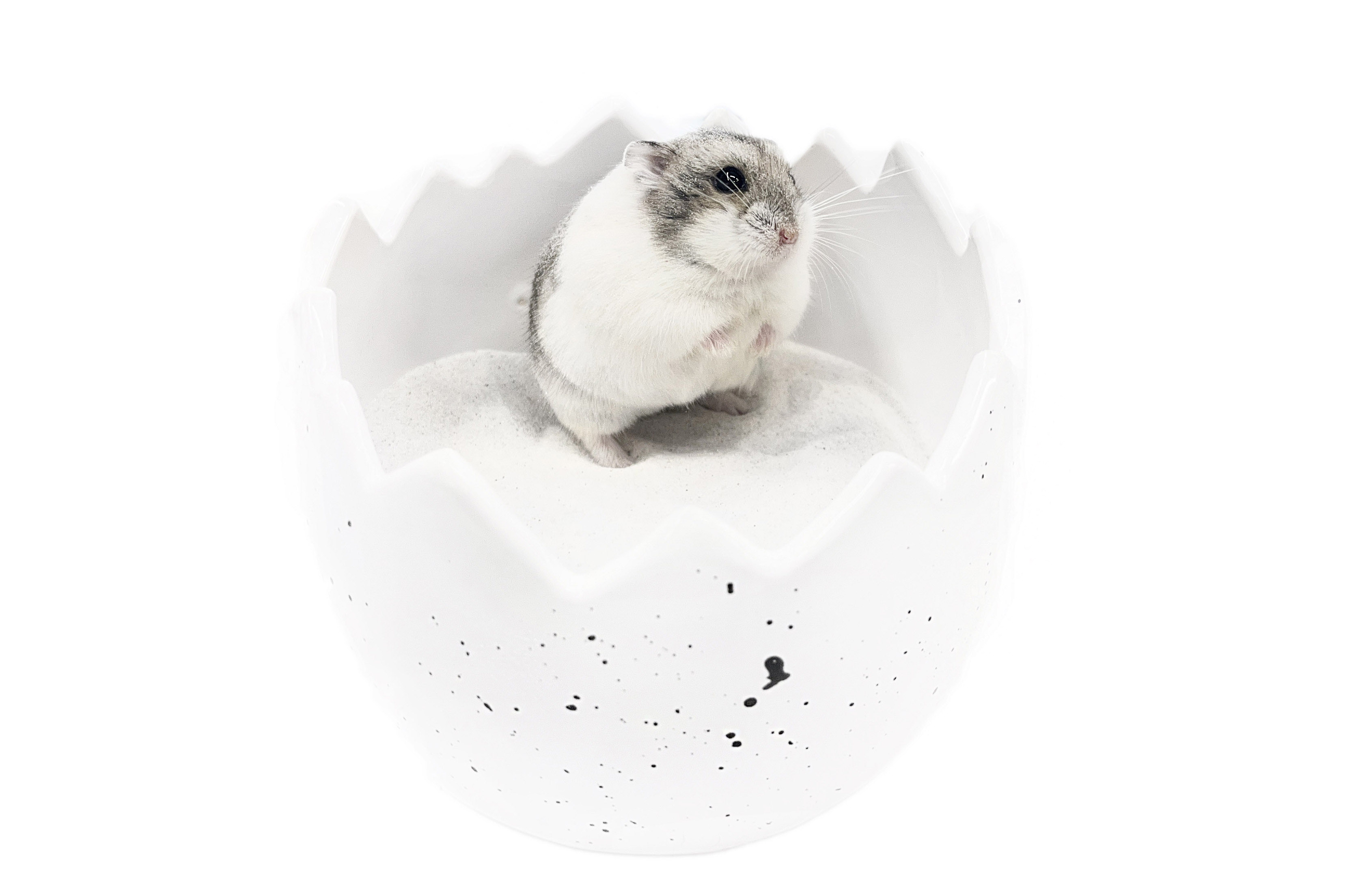 Glirex NatureSupplies - Kerámia tojás homokozó