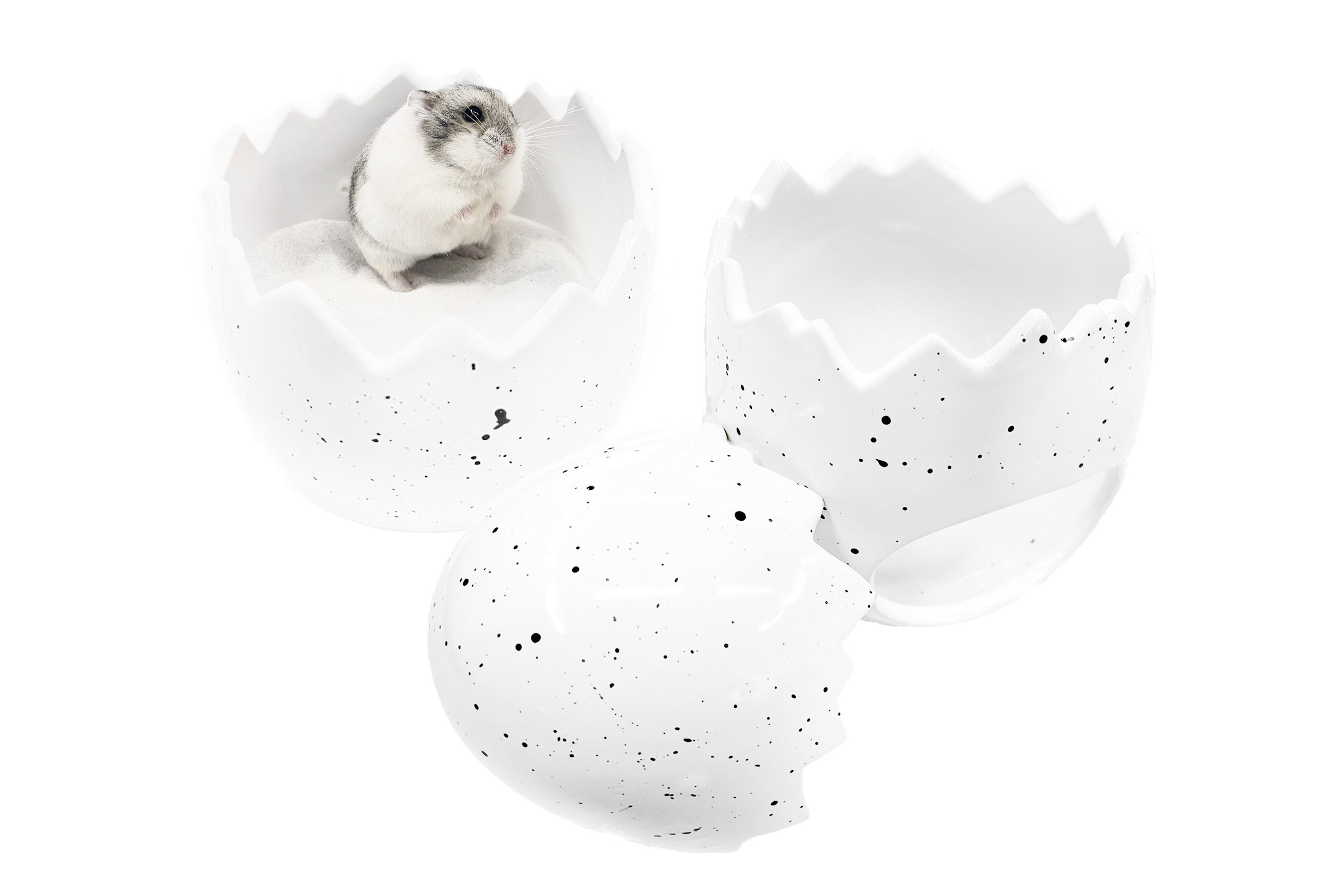 Glirex NatureSupplies - Kerámia tojás homokozó