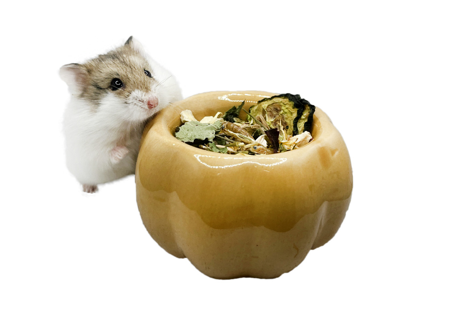 Glirex NatureSupplies - Kerámia tök etető- és itatótálka