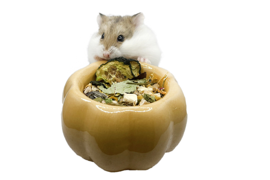 Glirex NatureSupplies - Kerámia tök etető- és itatótálka