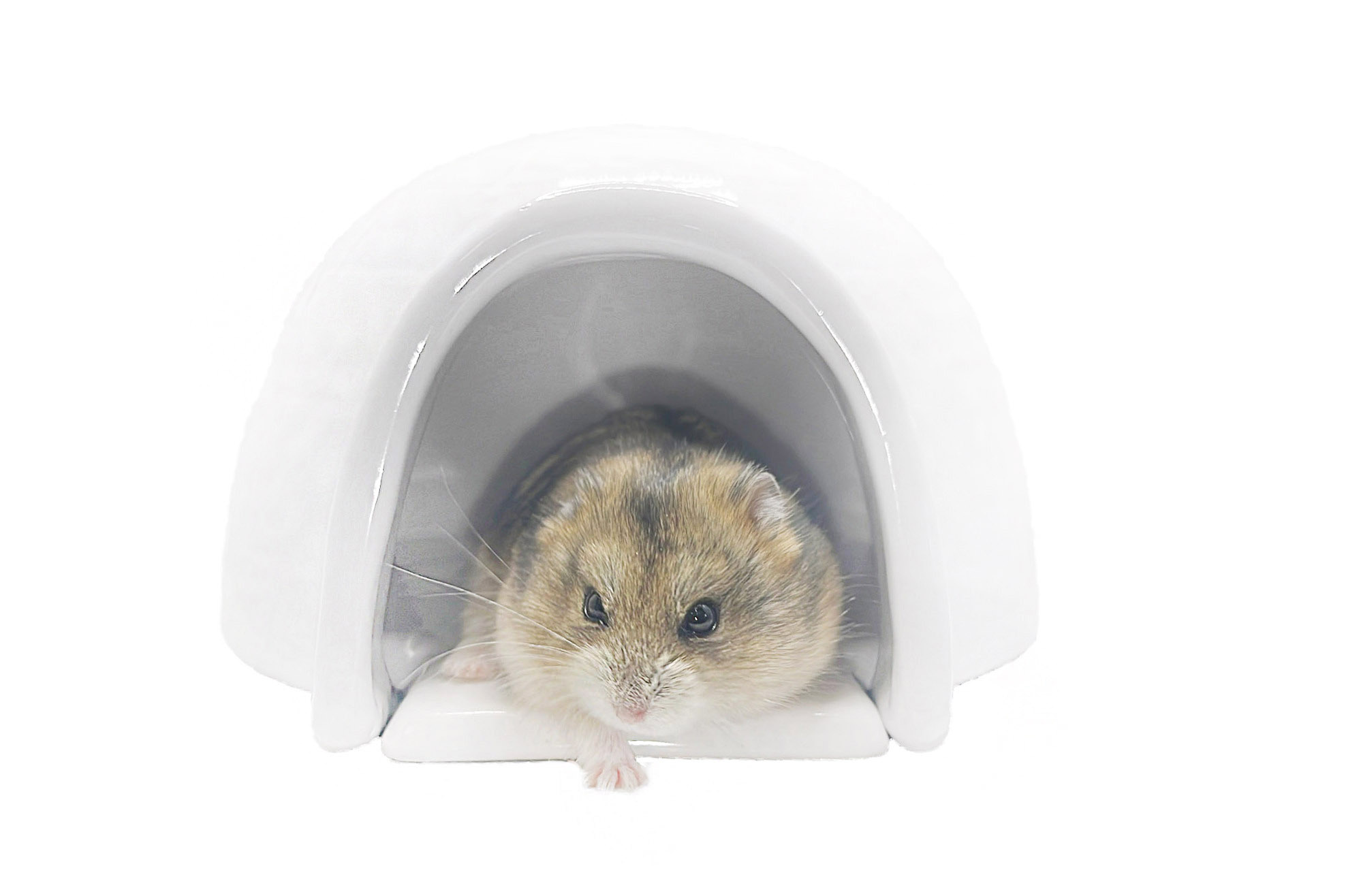 Glirex NatureSupplies - Kerámia iglu hűsítő