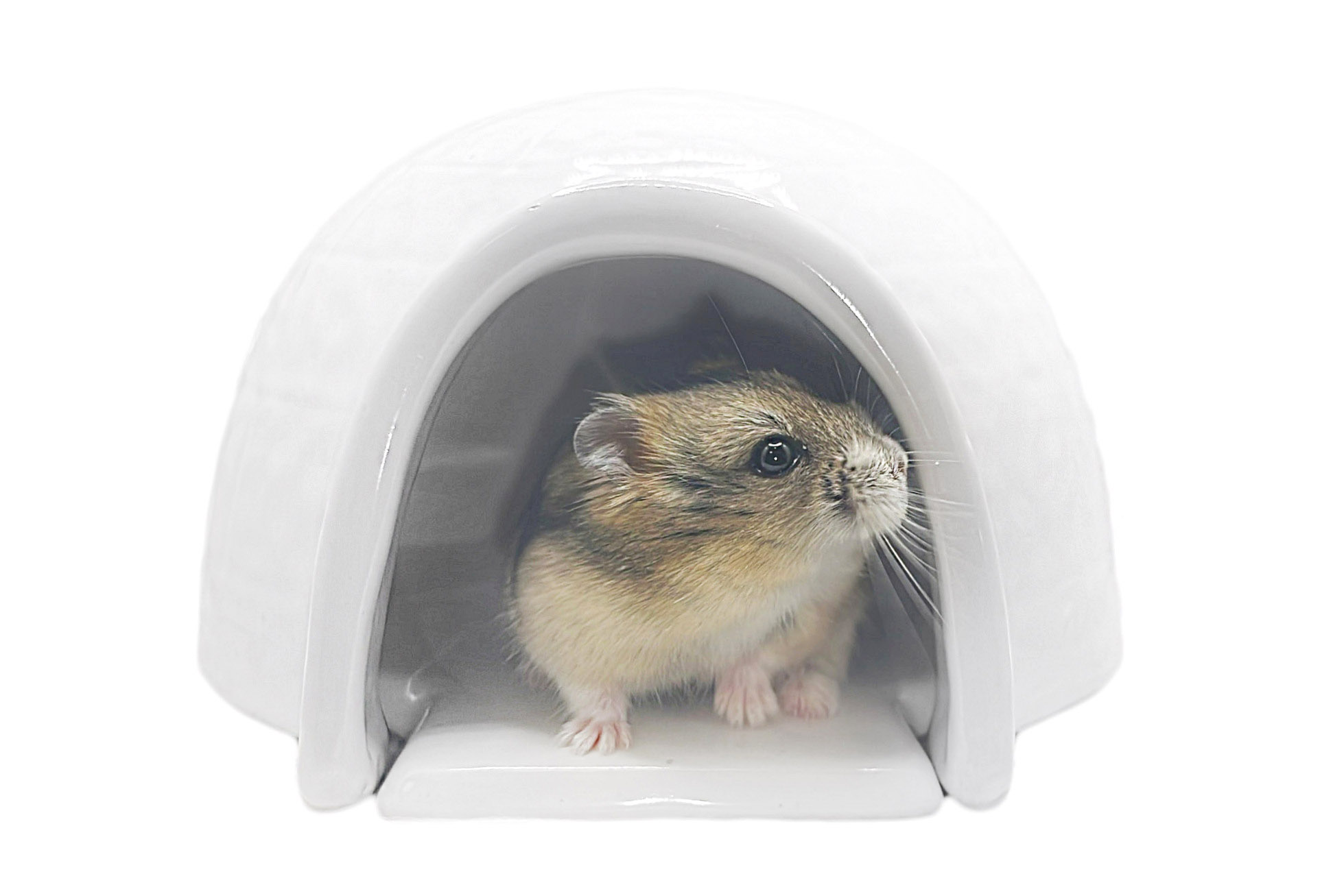 Glirex NatureSupplies - Kerámia iglu hűsítő