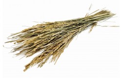 Glirex NatureBundle - Rizs