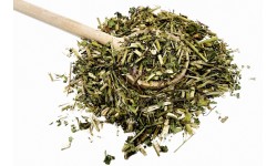 Glirex Herbaria - Kasvirág (Echinacea) (aprított)