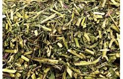 Glirex Herbaria - Kasvirág (Echinacea) (aprított)