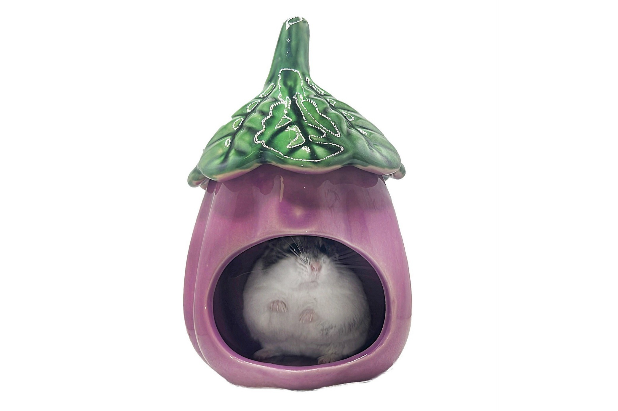 Glirex NatureSupplies - Kerámia padlizsán házikó