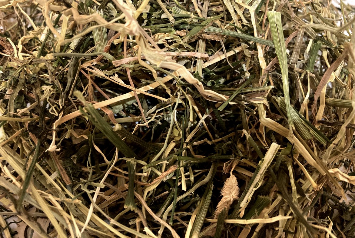 Glirex Hay - Széna kaporral és korianderrel