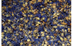 Glirex Herbaria - Búzavirág kék