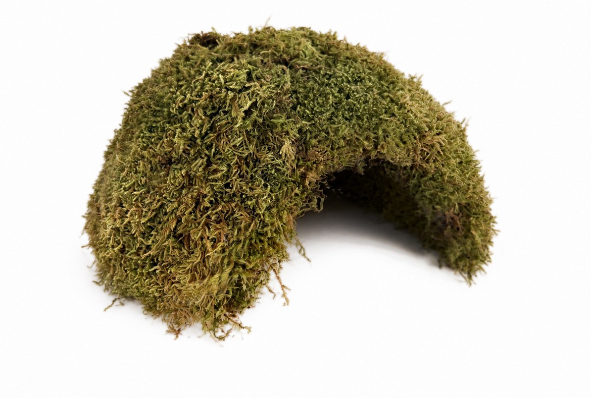 Glirex NatureSupplies - Mohaház