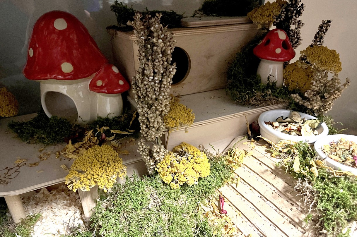 Glirex NatureSupplies - Kerámia gomba házikó