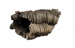 Glirex NatureSupplies - Parafa alagút - Csapj le rá!