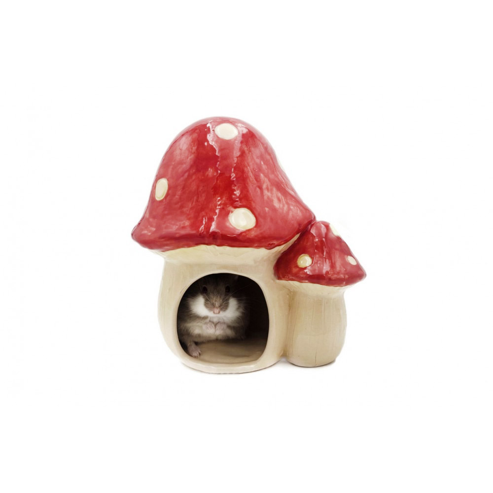 Glirex NatureSupplies - Kerámia gomba házikó