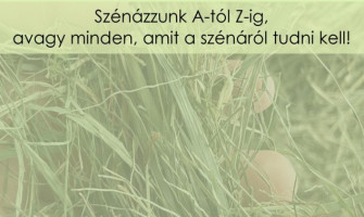 Symbolische Darstellung einer sicheren Casino-Verbindung und Login-Prozess