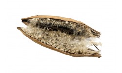 Glirex NatureBedding - Kapokfa termés