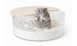 Glirex NatureSupplies - Plexi körhomokozó féltetővel